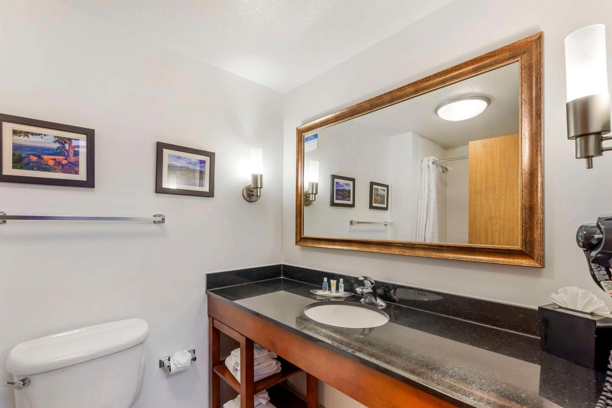 Comfort Suites לונגמונט מראה חיצוני תמונה